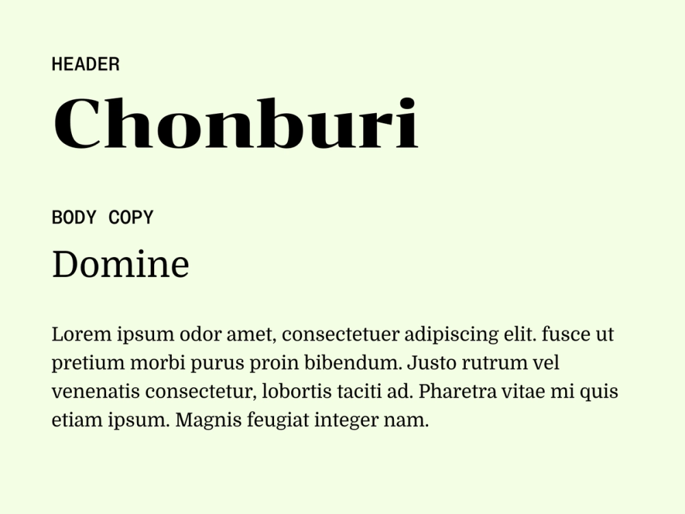 Example text showing Chonburi and Domine as a font pairing.