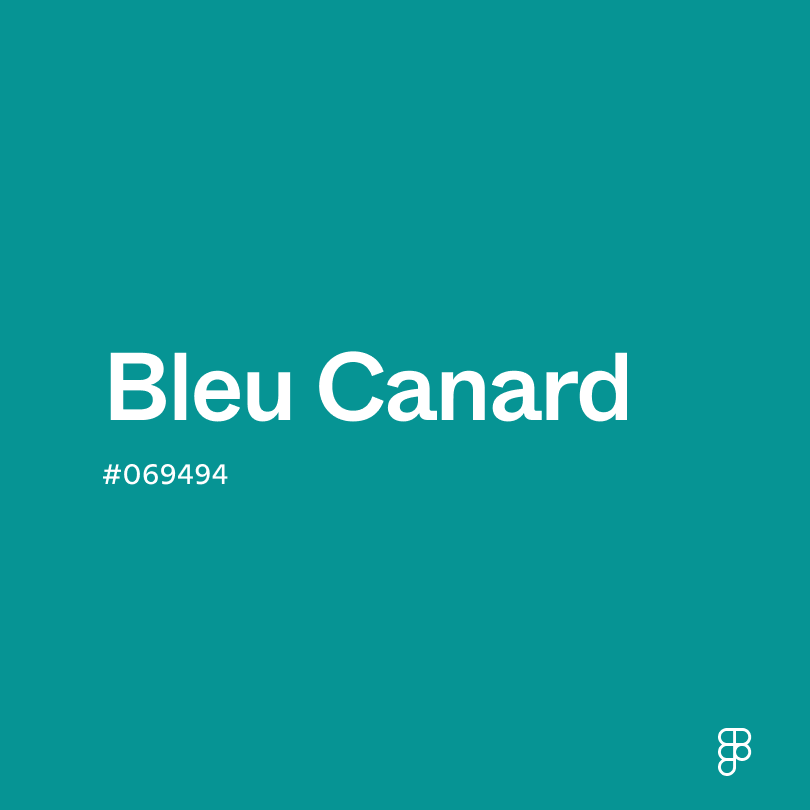 Bleu canard