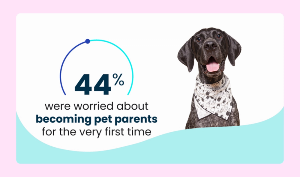 Pet ownership statistical infographic
