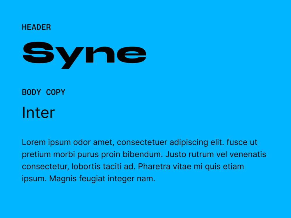 Example text showing Syne and Inter as a font pairing.