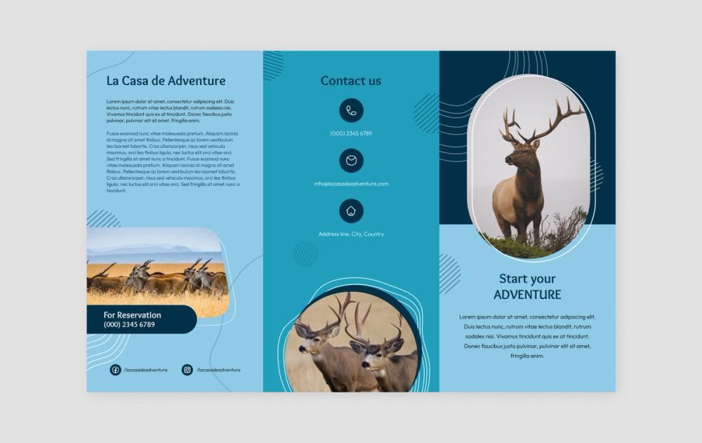 How to Make a Brochure: 12 Templates + Best Practices | Figma