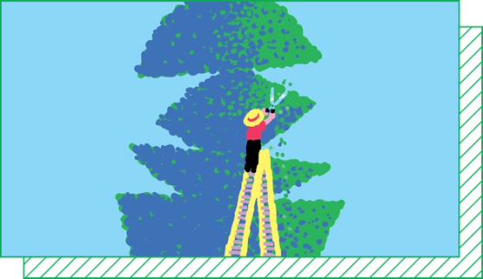 Illustration of a gardener on a ladder trimming a hedge