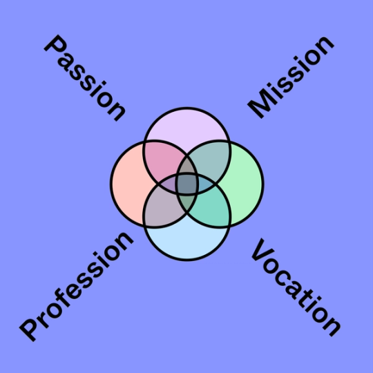 colorful venn diagram surrounded by the words passion, profession, mission and vocation