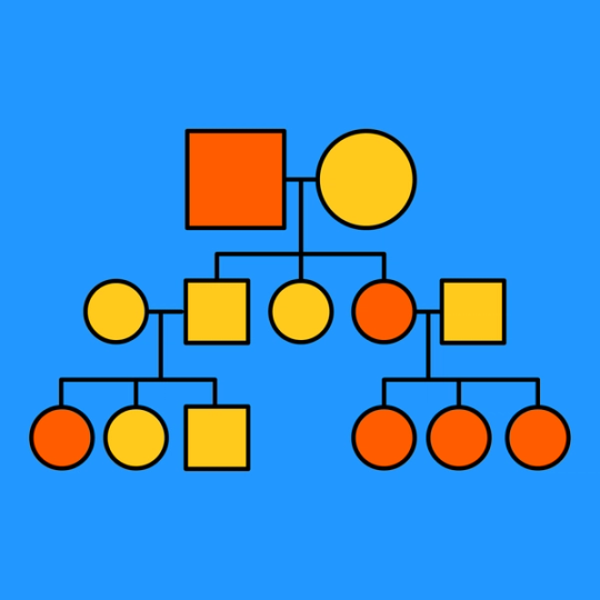 colorful flowchart with square and circle shapes that connect each line