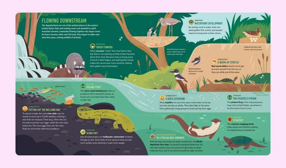 Example of a wildlife infographic