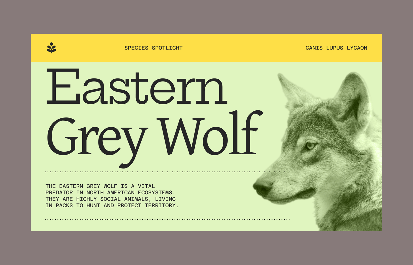 free-gif-maker-create-animated-gifs-figma