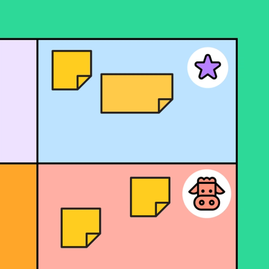 cow and star sections of BCG matrix