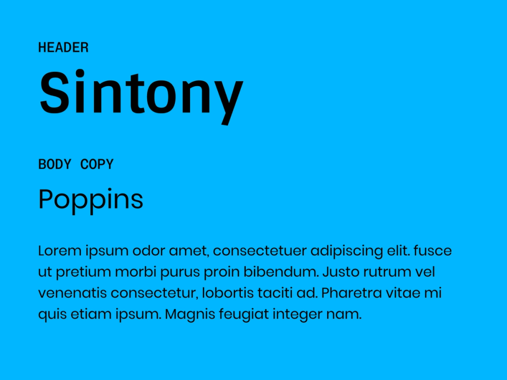 Example text showing Sintony and Poppins as a font pairing.
