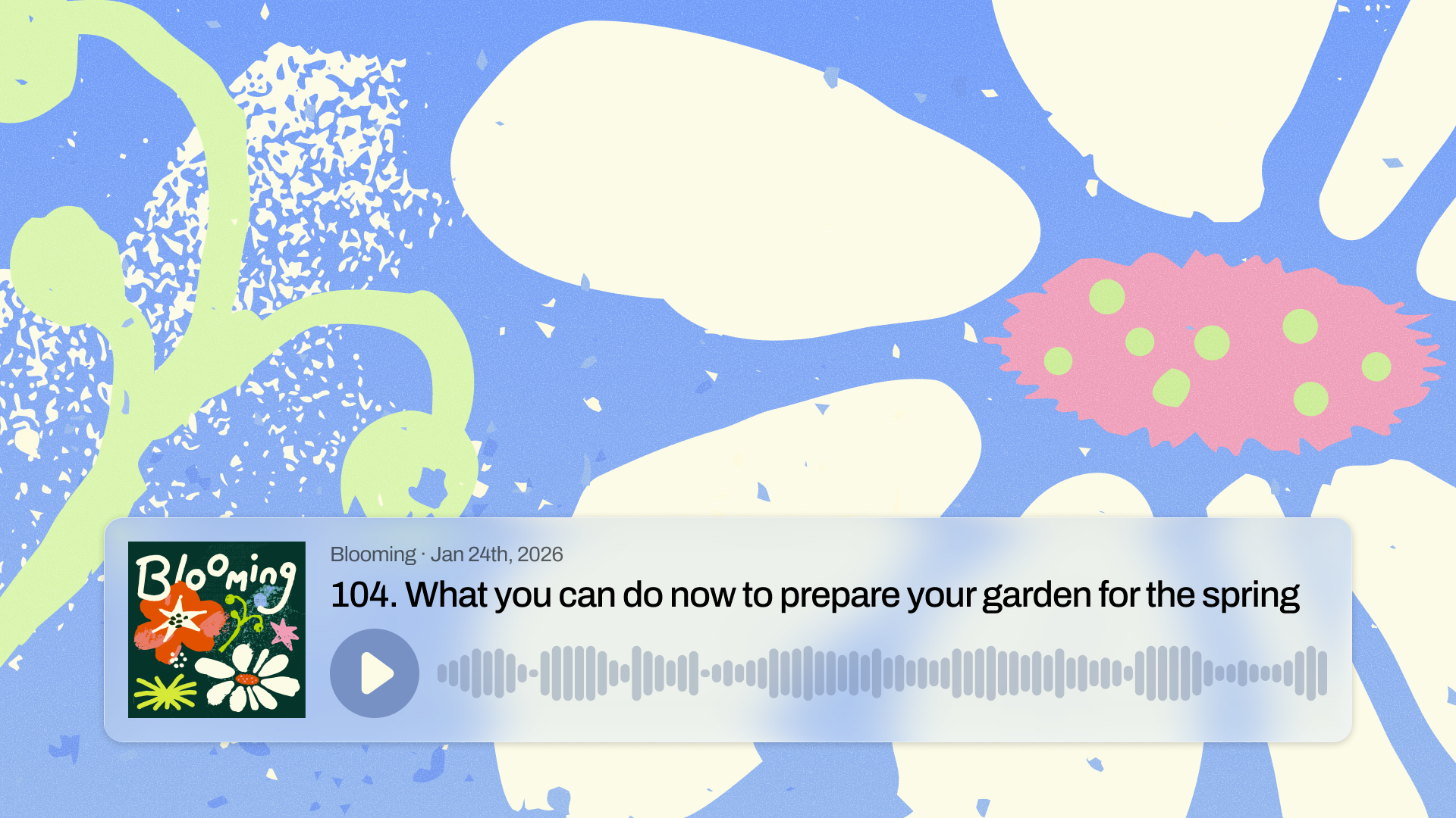 Podcast player interface overlaid on a colorful, textured illustrated background, showing an episode from “Blooming” titled “What you can do now to prepare your garden for the spring,” dated January 24, 2026.