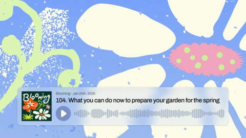 Podcast player interface overlaid on a colorful, textured illustrated background, showing an episode from “Blooming” titled “What you can do now to prepare your garden for the spring,” dated January 24, 2026.