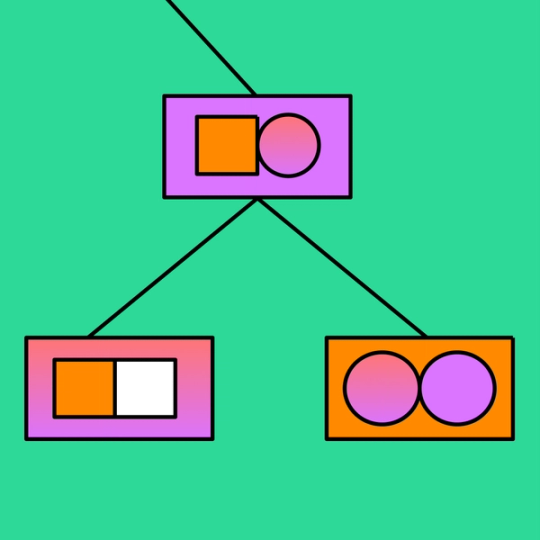 dichotomous key template example