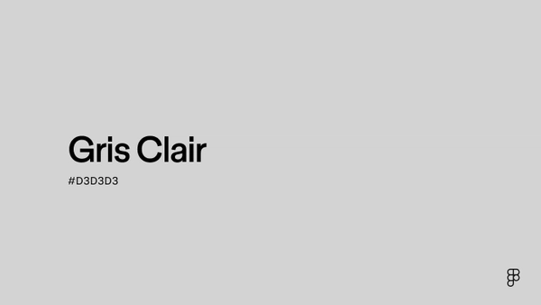 COULEUR GRIS CLAIR CODE HEX PALETTES SIGNIFICATION visual data 3