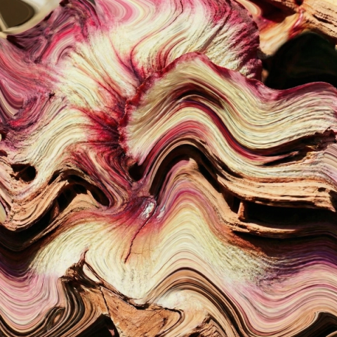 A distorted version of the combined flower and rock image with flowing wave forms in deep pink, cream, and sandstone tones, closer in texture to the original reference.