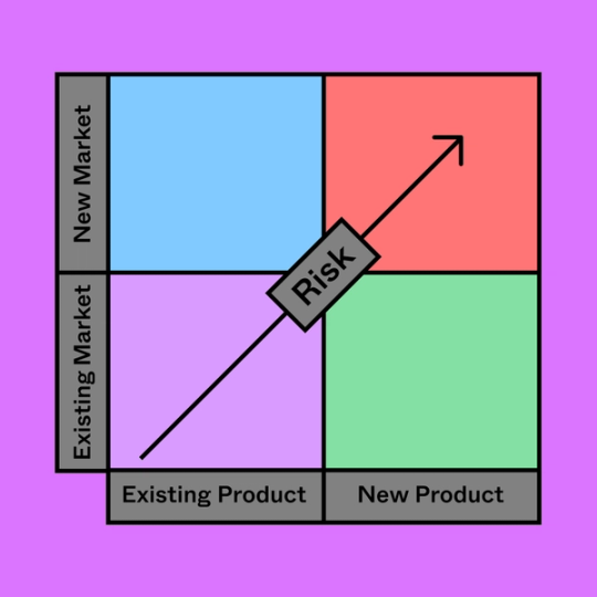 matrix table labeled with the words existing product, new product, existing market, new market and risk