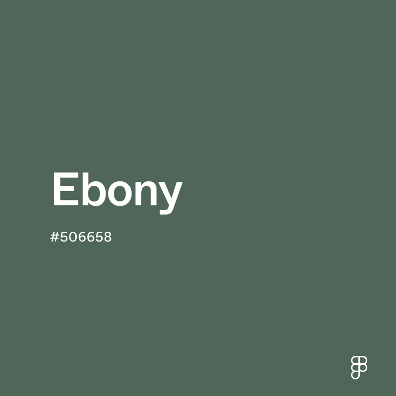 ebony color