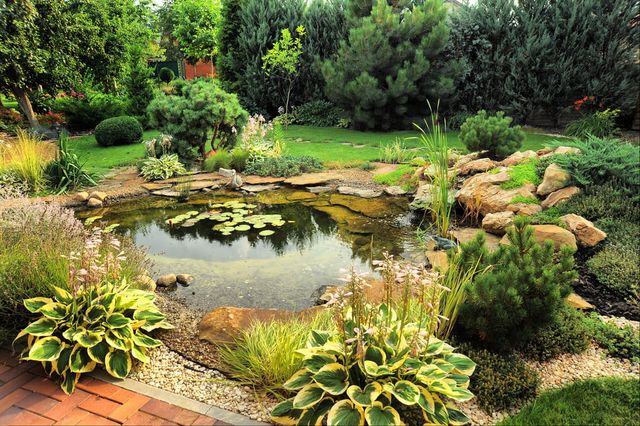 garden pond