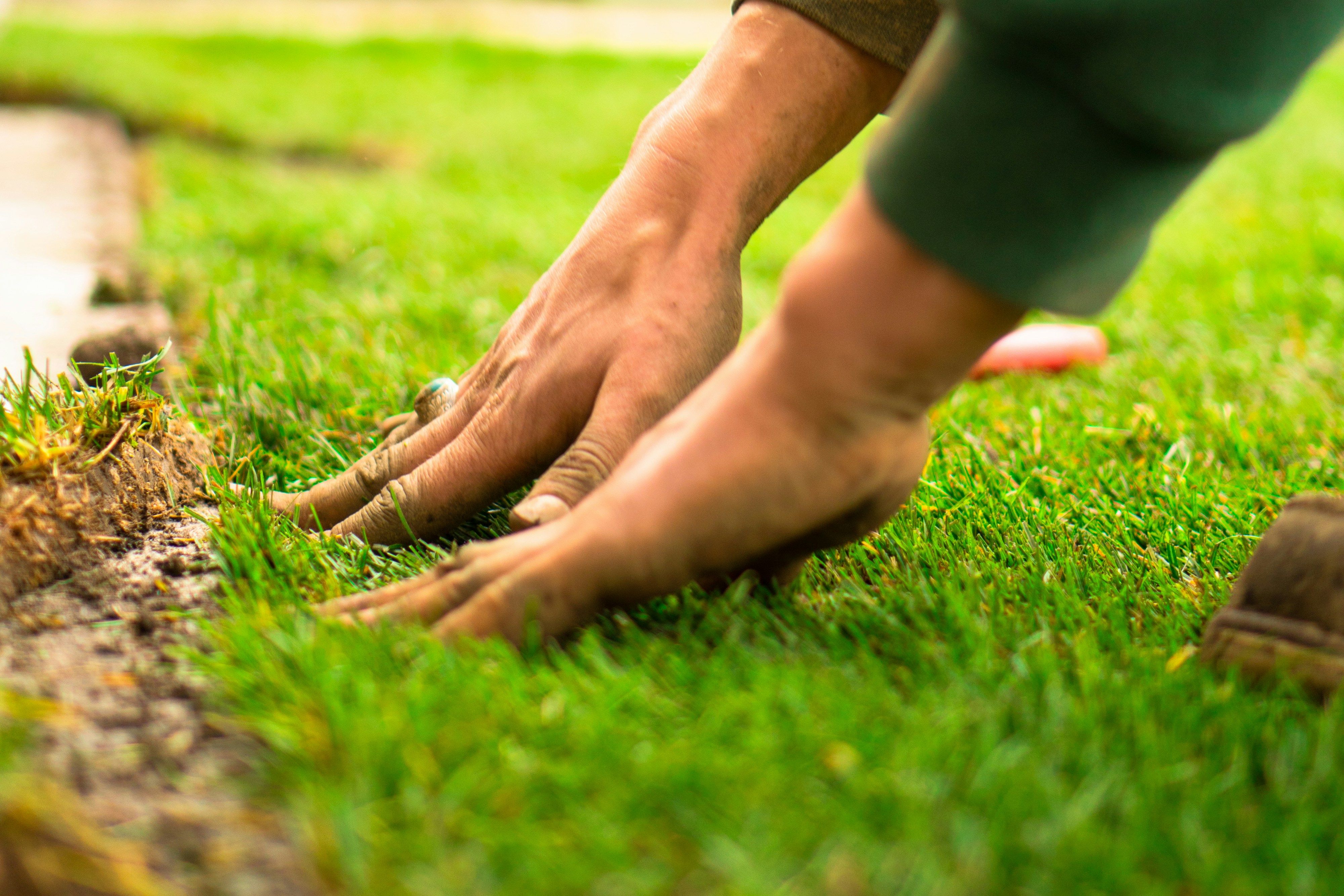 Hire a Turf Cutter & Transform Your Garden | HSS DIY