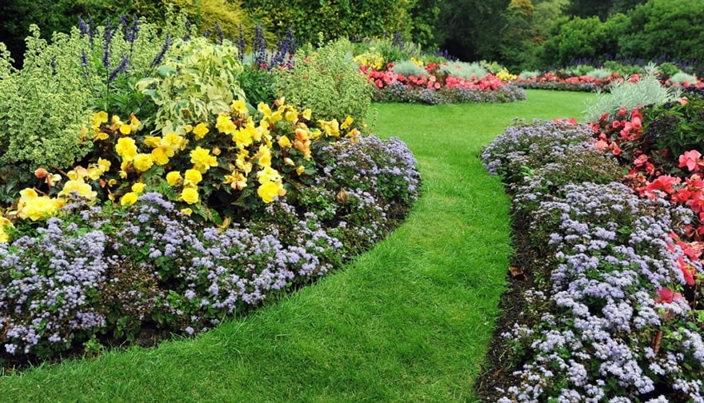 A healthy garden with plenty of plants flowers and a lush grass paths