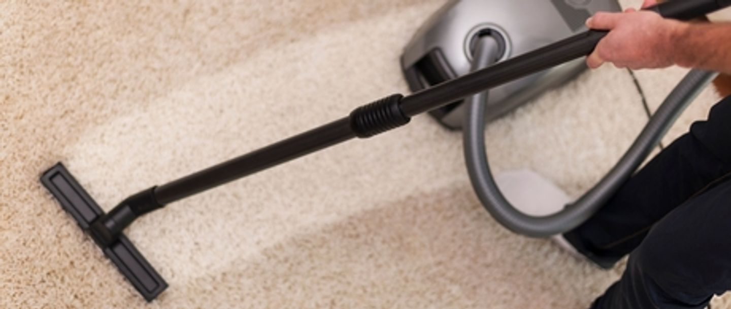 washing the carpet using carpet cleaner