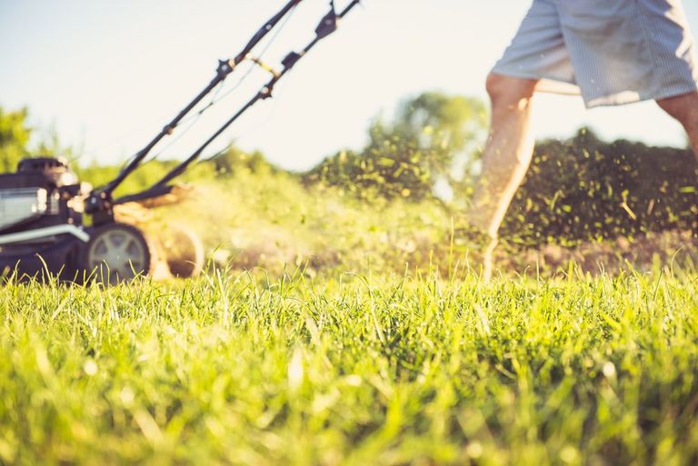 mowing lawn in the summer