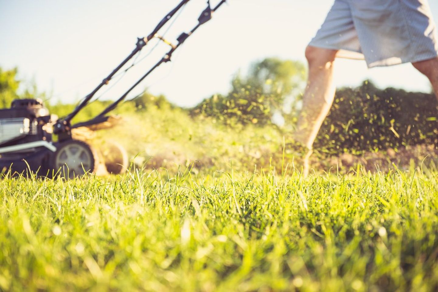 summer vibes a person mowing a lawn