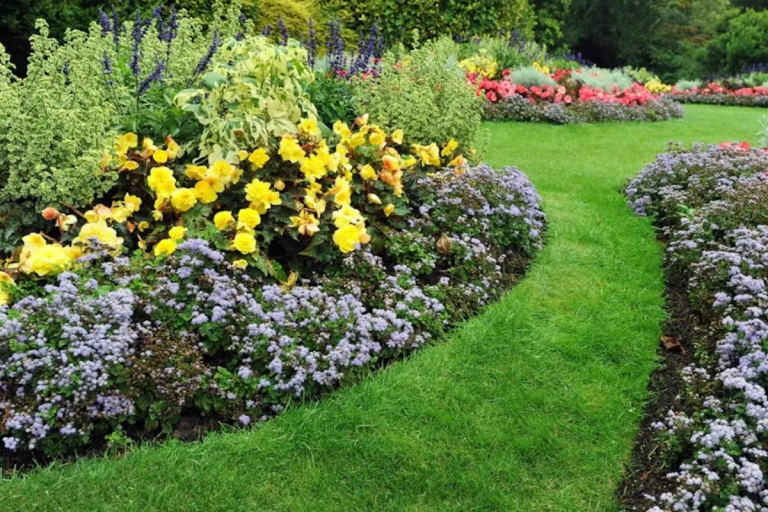 grass garden paths and flower plants beds