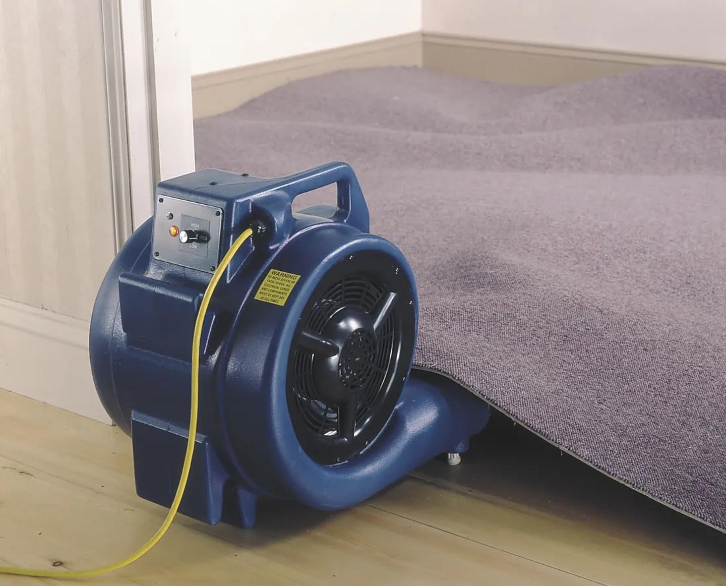 Carpet dryer