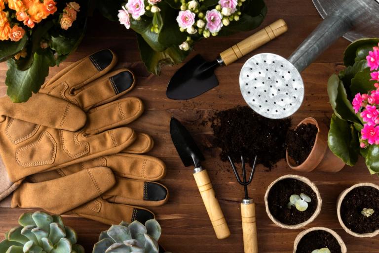 A variety of gardening hand tools laid out on a wooden table.