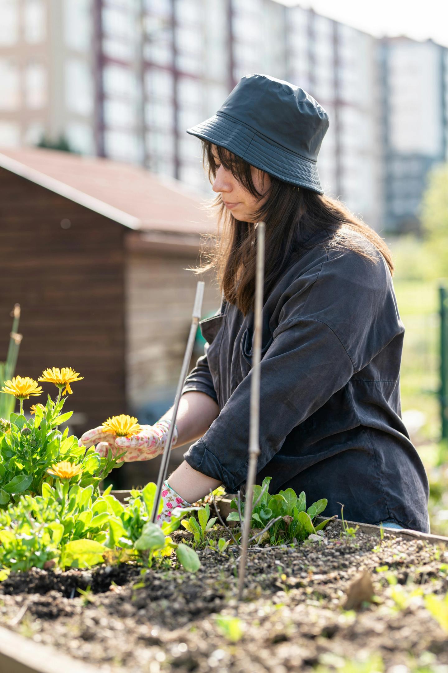 Lady planting in a raised flower bed
