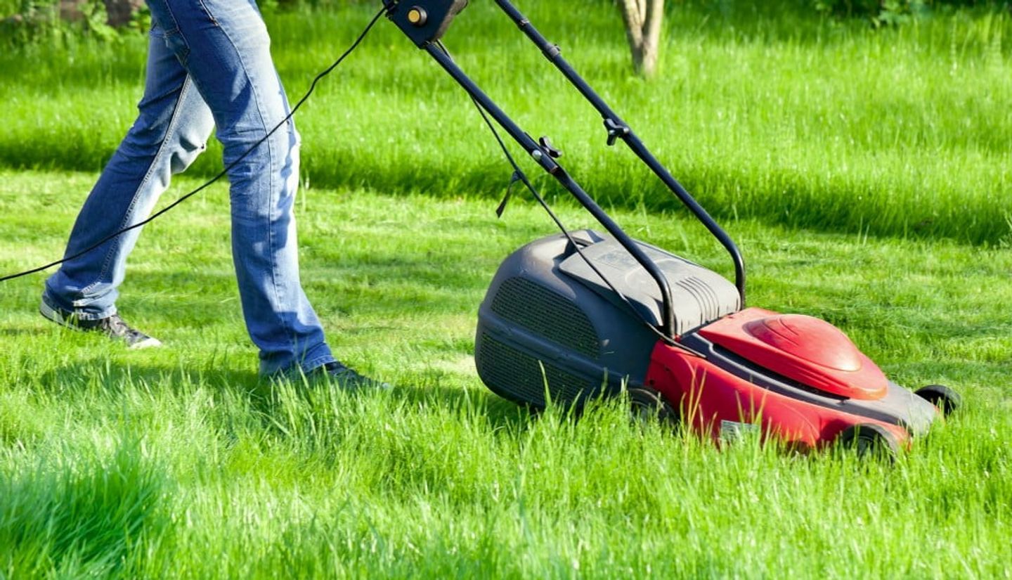 a person mowing the lush green lawn