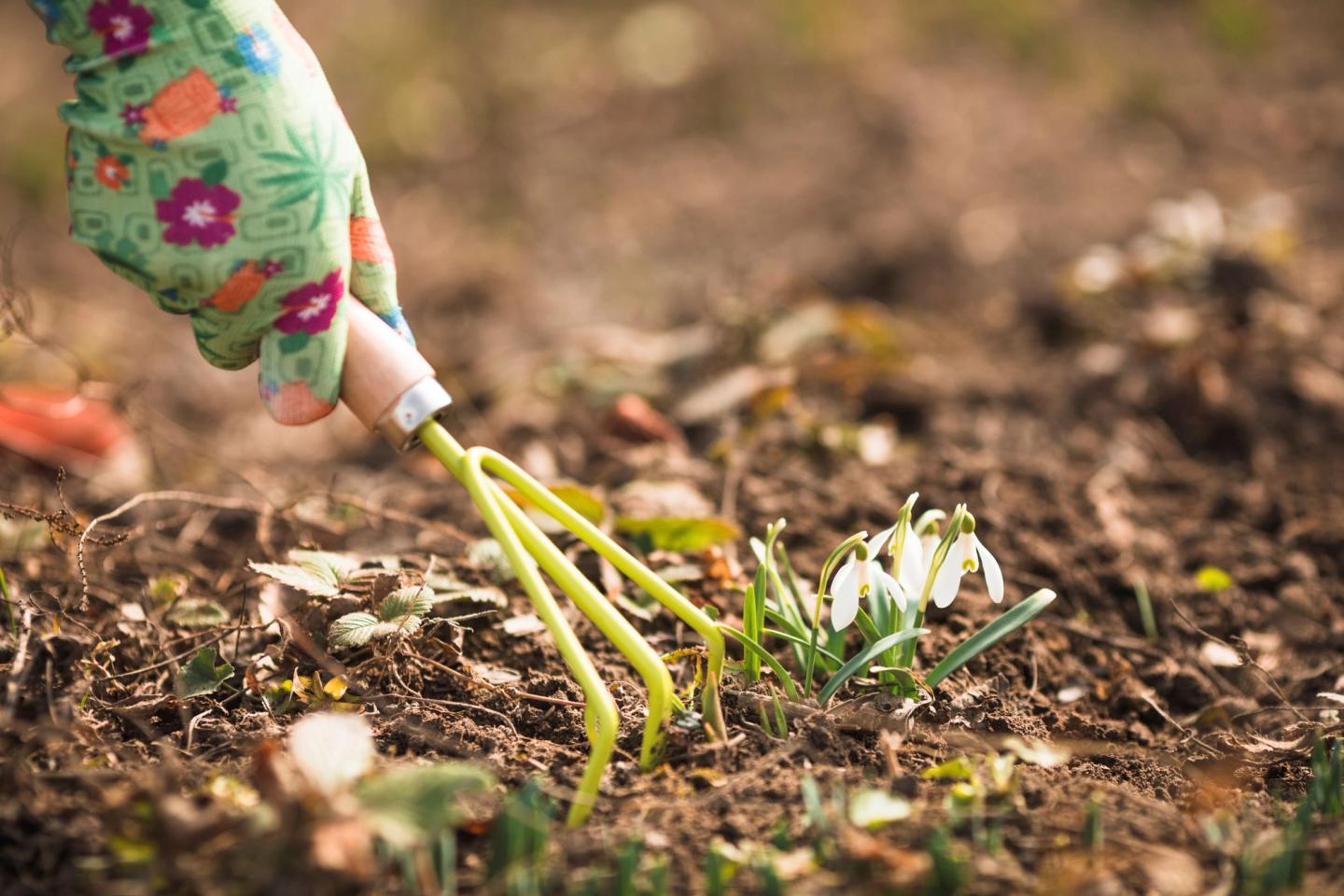 digging soil with fork