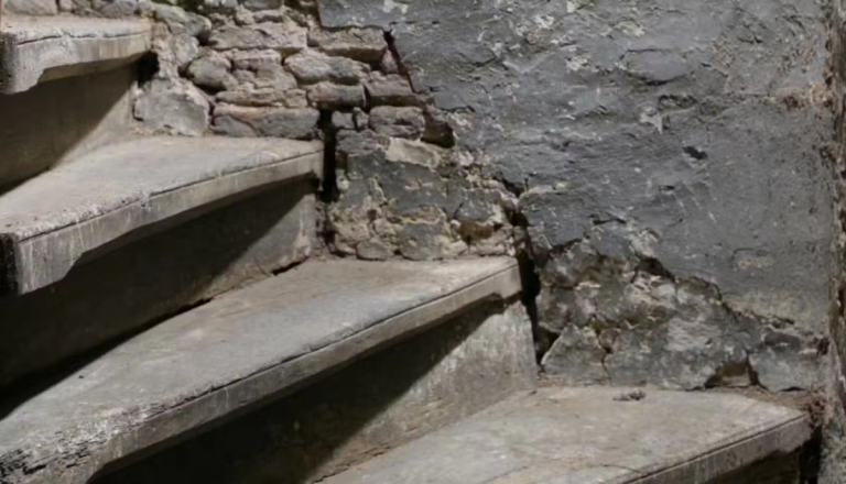 Steps leading towards the cellar in a house.