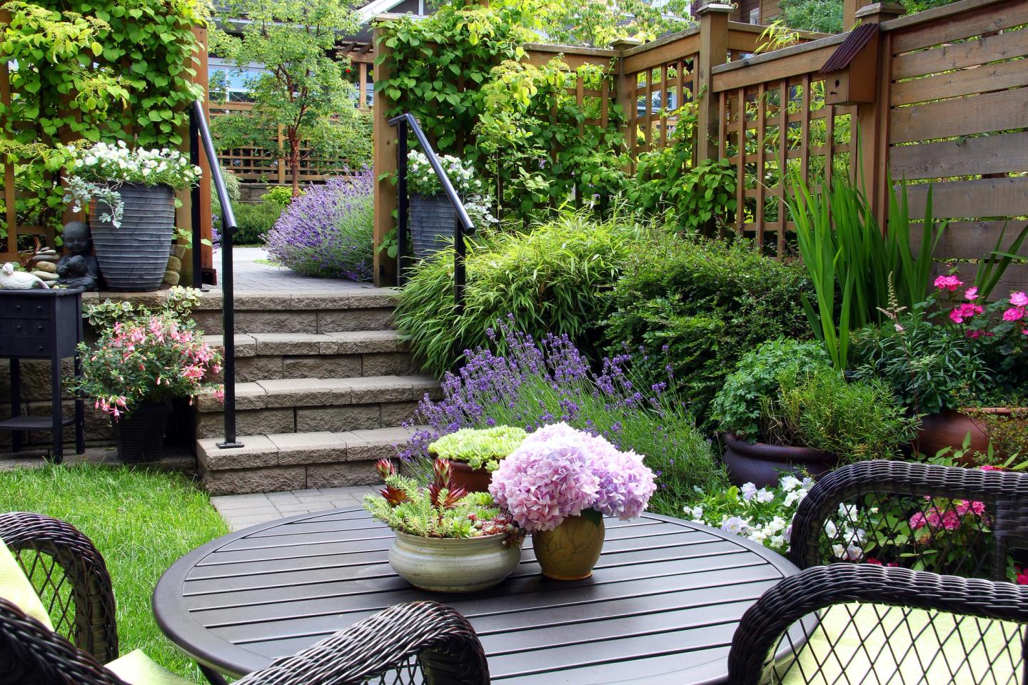 colorful well planned garden