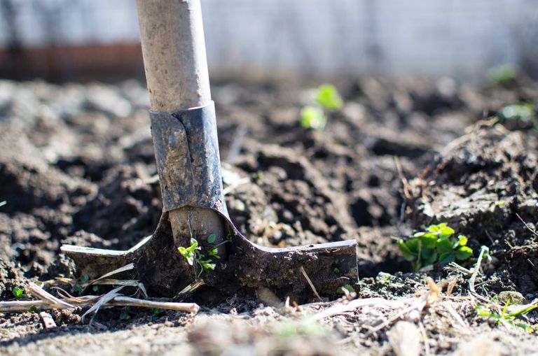 a spade in the soil