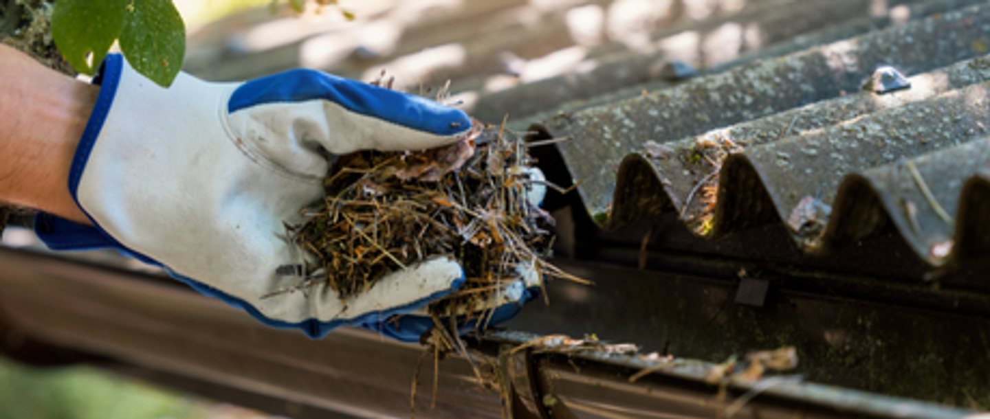 emptying out the roof gutters