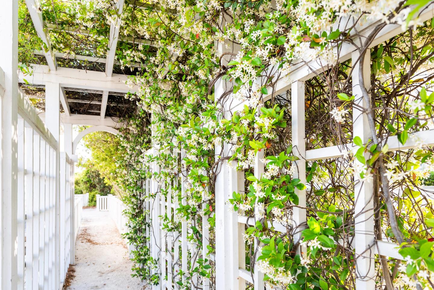 inside garden bow arch