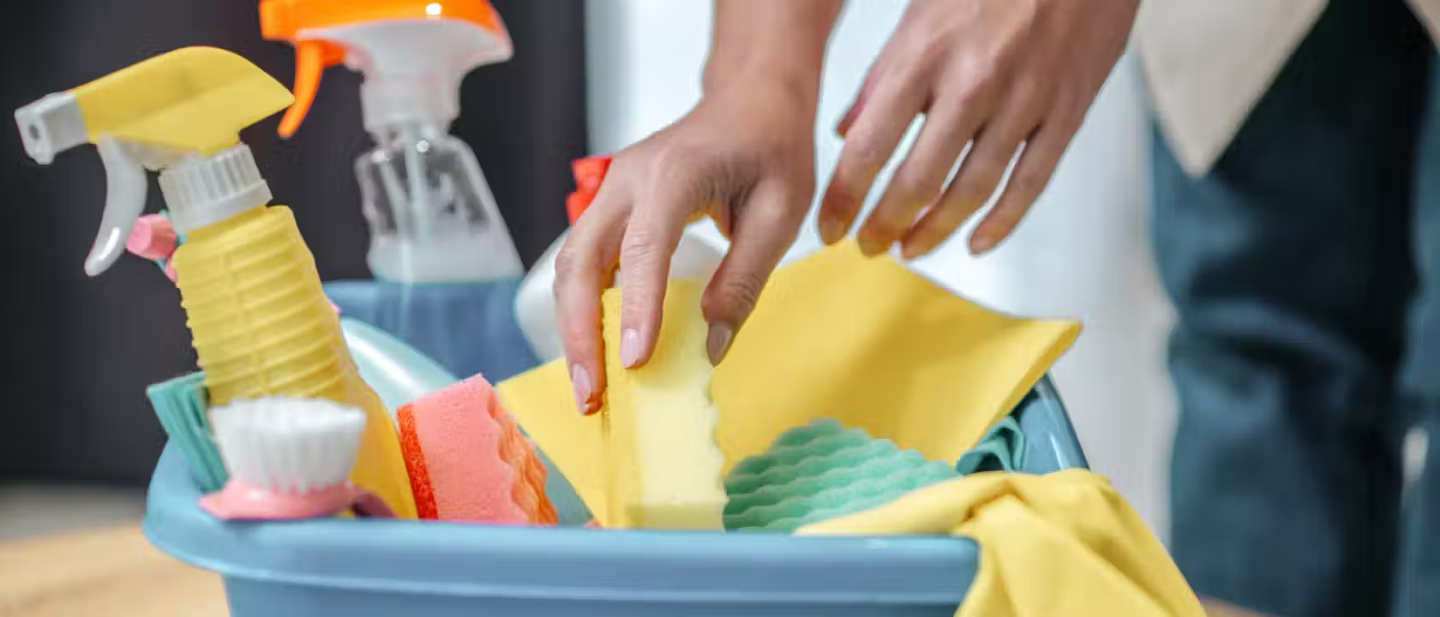 Selection of cleaning products