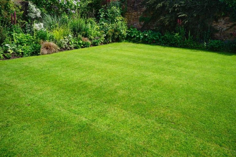 A perfectly levelled grass lawn
