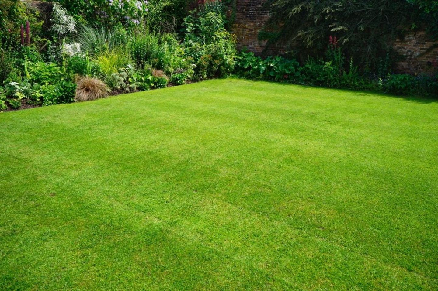 A perfectly levelled grass lawn
