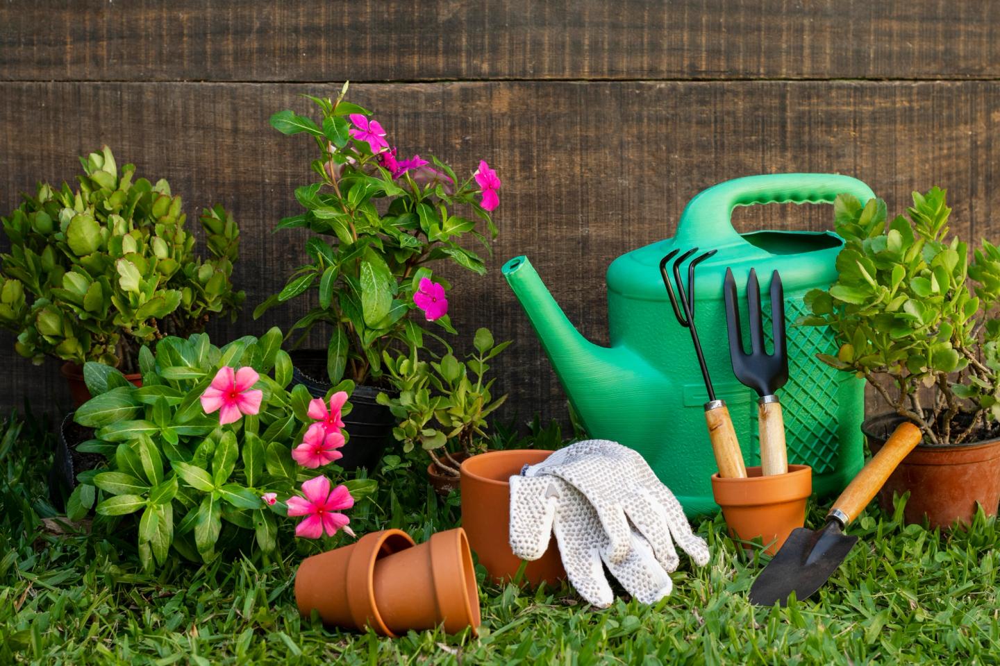 set of garden hand tools watering can and plant pots