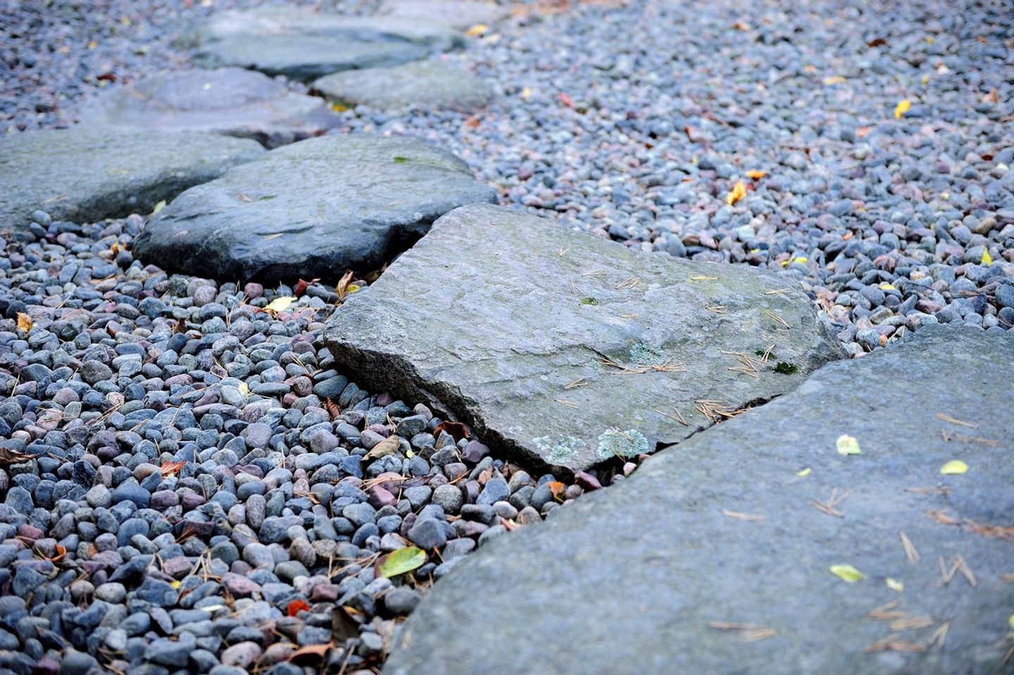 stepping stones on the gravel