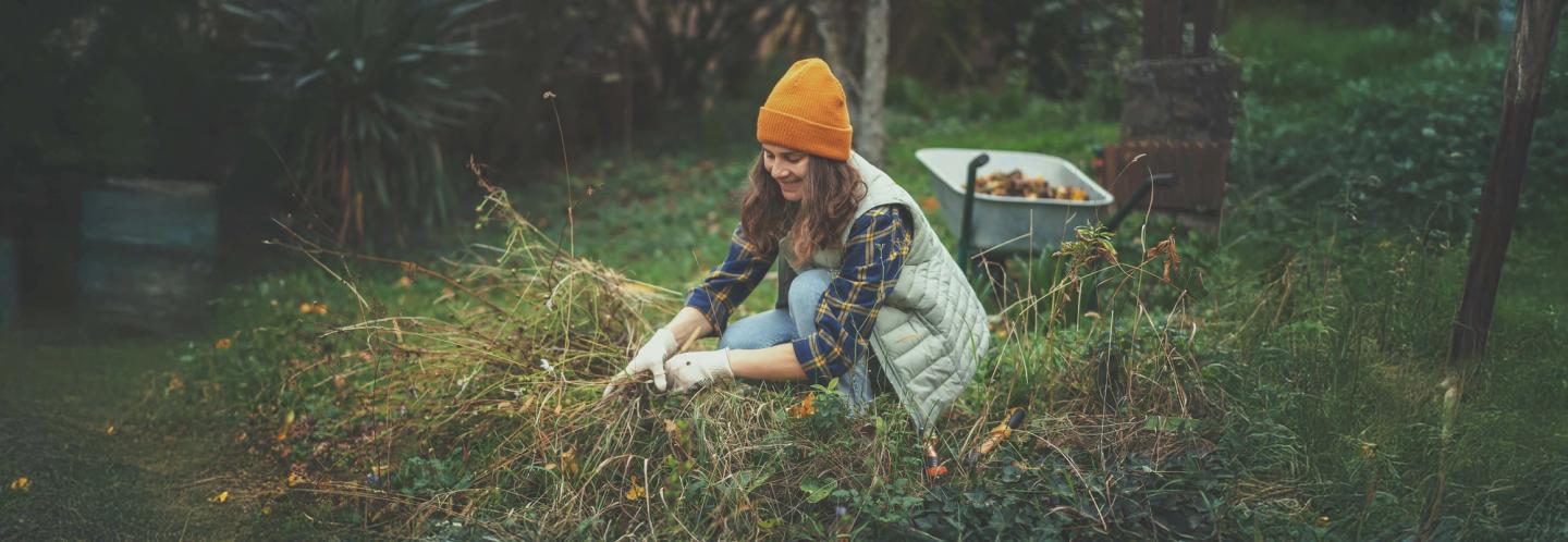 Gardening & Landscaping