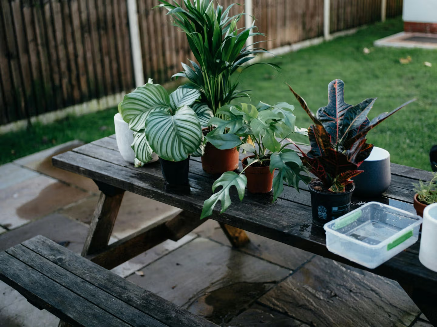 Plants on an outdoor wooden table in the garden.