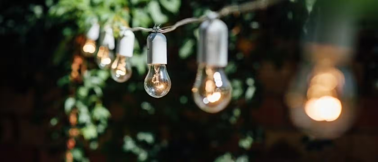 String lights hung up in the garden.