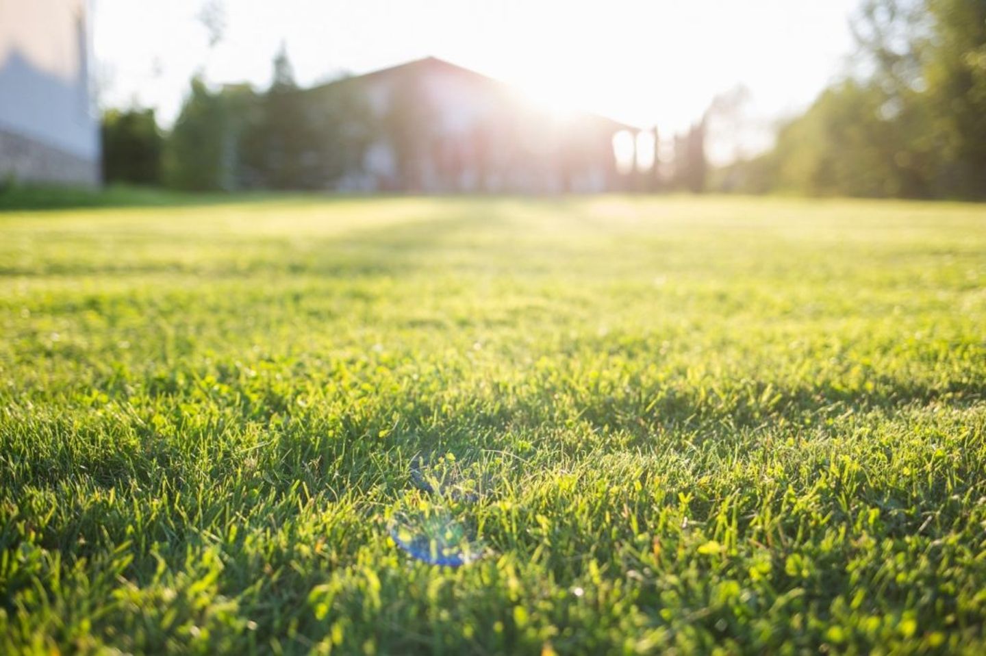 sun shining on a beautiful trimmed green lawn
