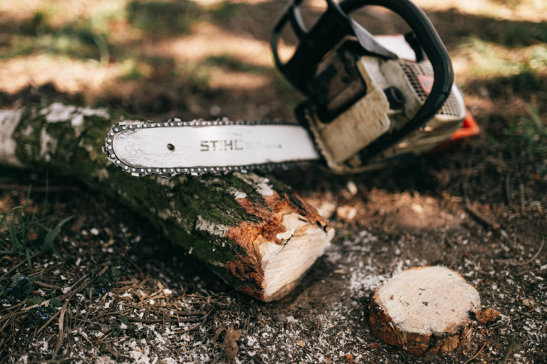 stihl chainsaw lying on the forest ground after cutting down tree