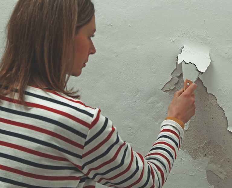 Paint Removers