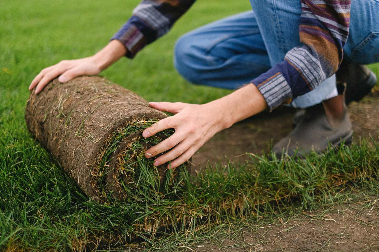 Person laying a roll of turf