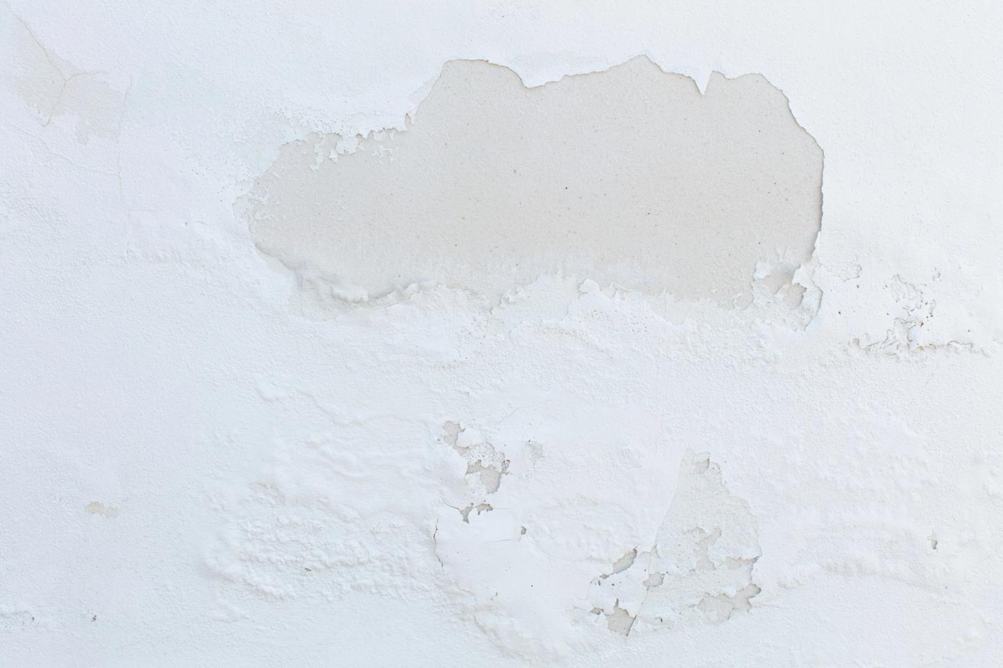 A white, damp interior wall.