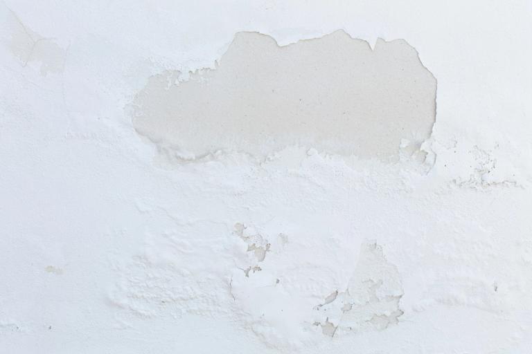 A white, damp interior wall.